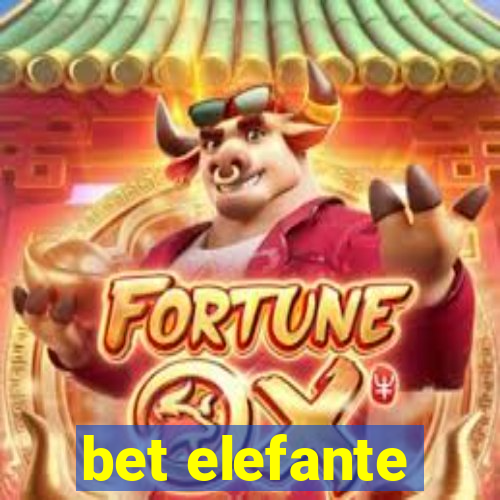 bet elefante