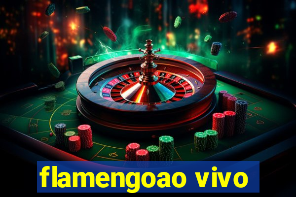 flamengoao vivo