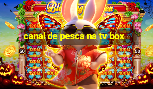 canal de pesca na tv box