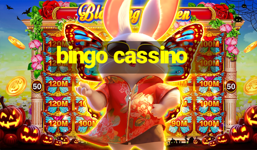 bingo cassino