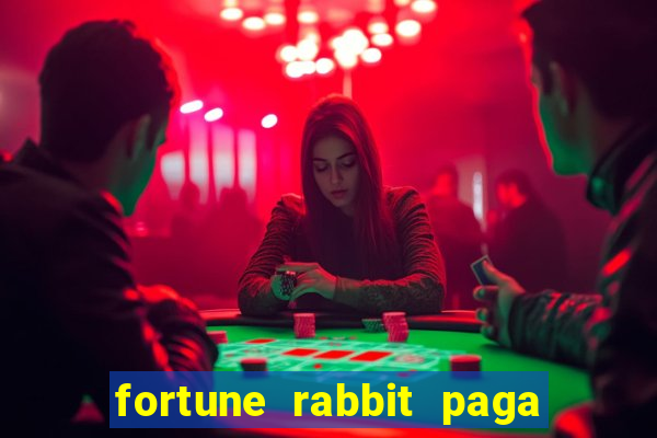 fortune rabbit paga que horas