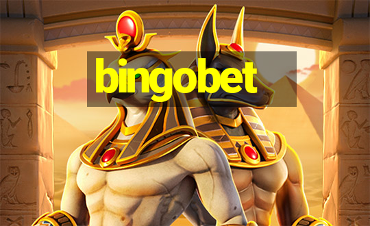 bingobet