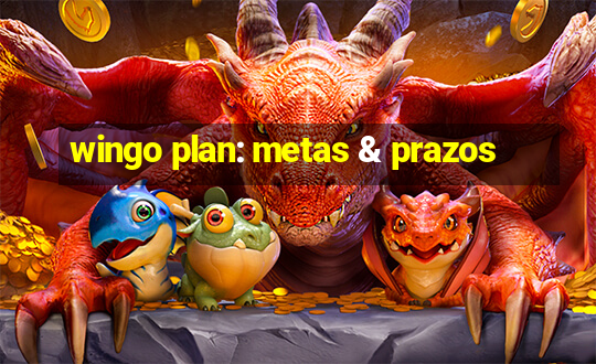 wingo plan: metas & prazos