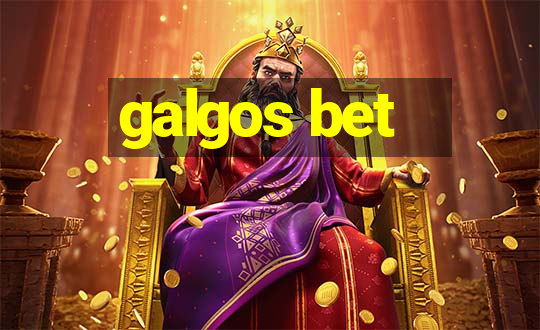 galgos bet