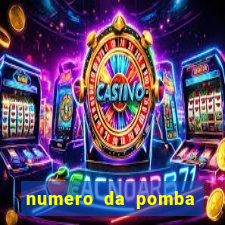 numero da pomba jogo do bicho