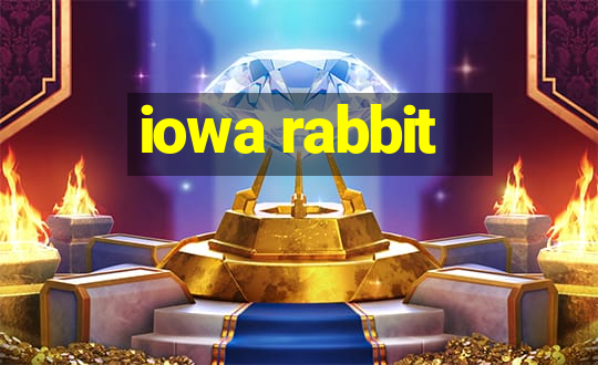 iowa rabbit