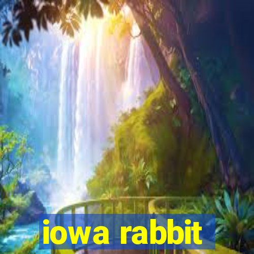 iowa rabbit