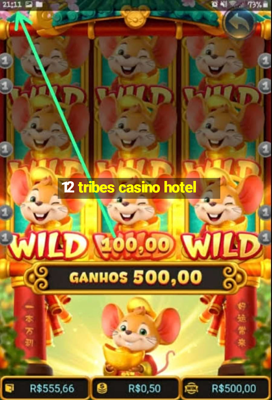 12 tribes casino hotel