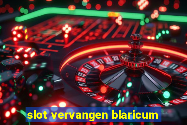 slot vervangen blaricum