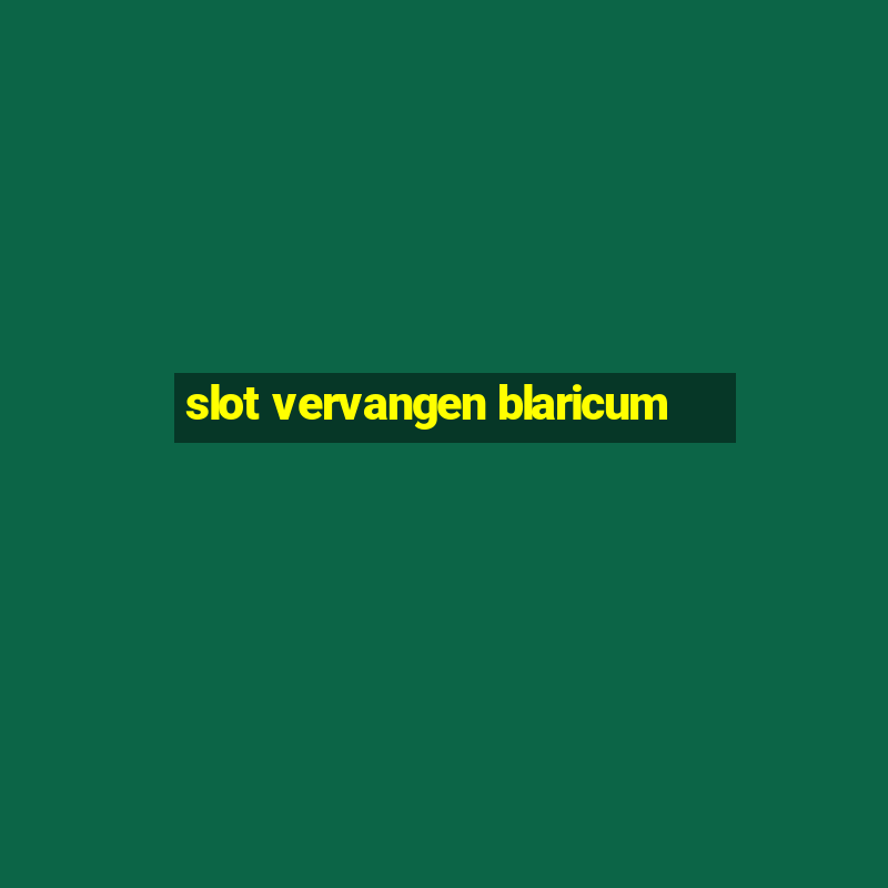 slot vervangen blaricum