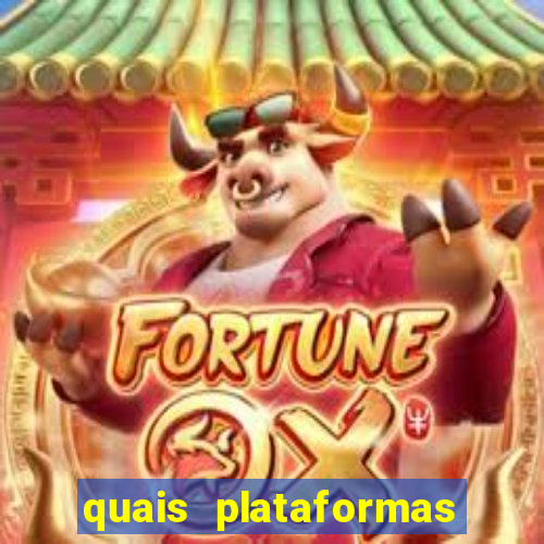 quais plataformas est茫o pagando hoje