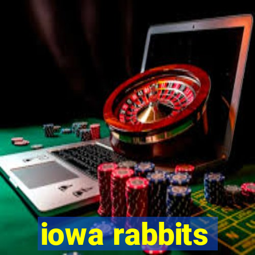 iowa rabbits