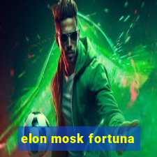 elon mosk fortuna