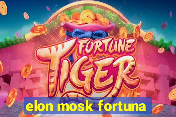 elon mosk fortuna