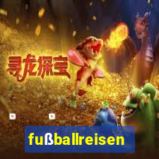 fußballreisen tottenham hotspur