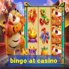 bingo at casino