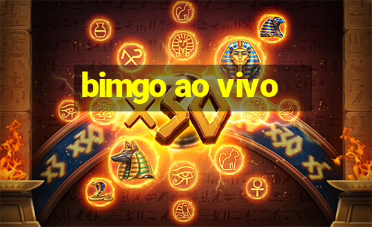 bimgo ao vivo