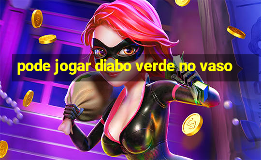 pode jogar diabo verde no vaso