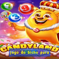 jogo do bicho para ganhar dinheiro