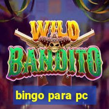 bingo para pc