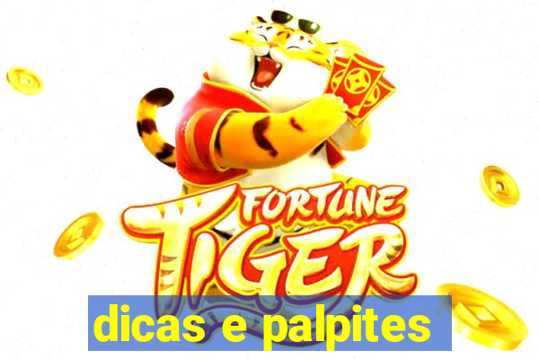 dicas e palpites