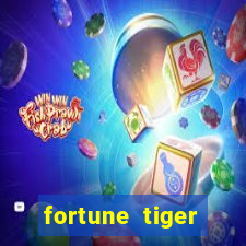 fortune tiger melhor horário