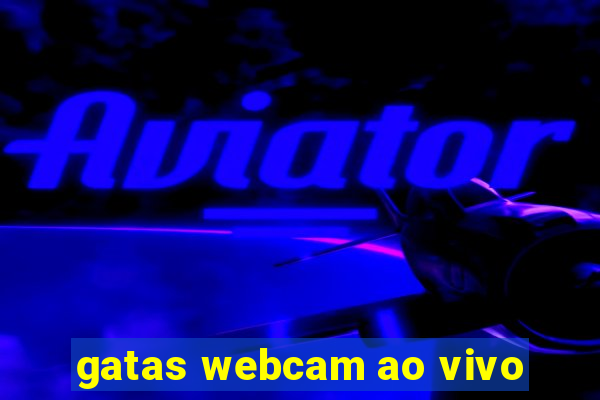 gatas webcam ao vivo