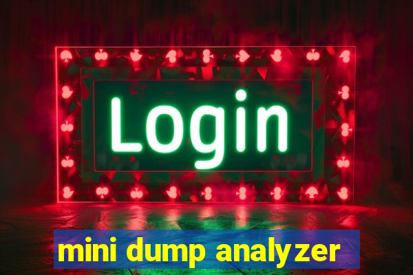 mini dump analyzer