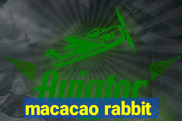 macacao rabbit