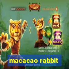 macacao rabbit