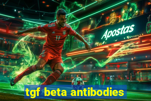 tgf beta antibodies