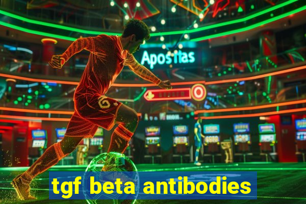 tgf beta antibodies