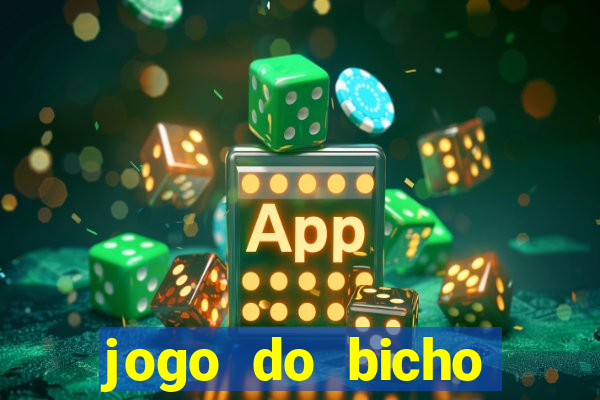 jogo do bicho crash bingo