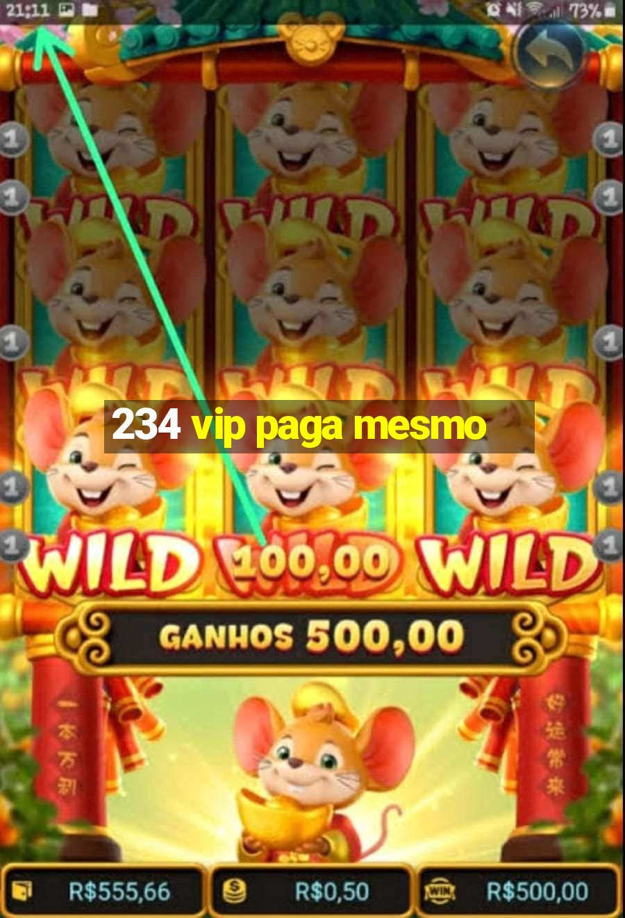 234 vip paga mesmo