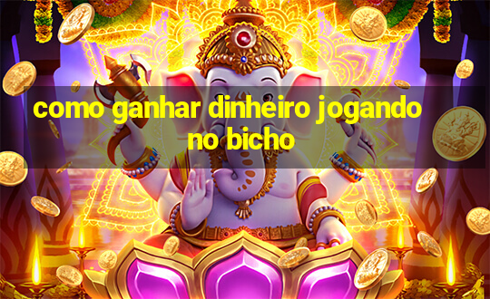 como ganhar dinheiro jogando no bicho