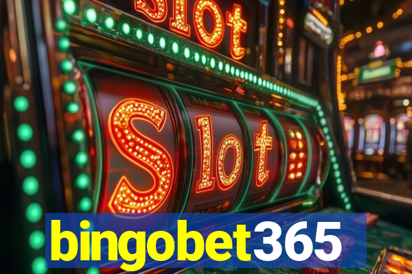 bingobet365