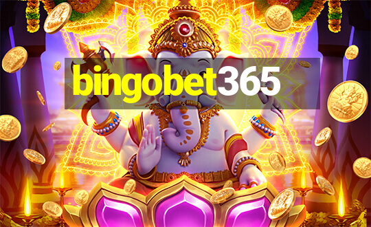 bingobet365