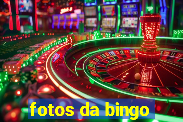 fotos da bingo