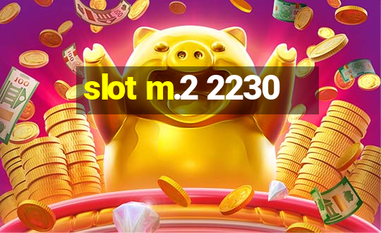 slot m.2 2230