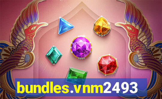 bundles.vnm2493