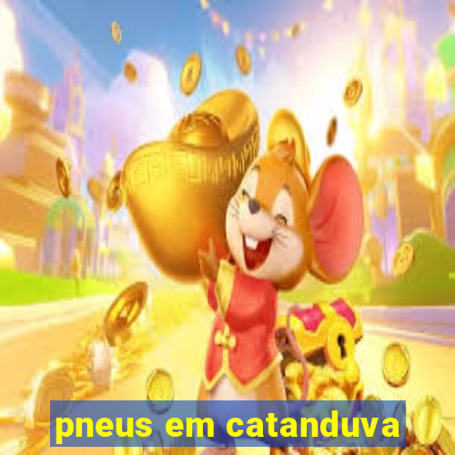 pneus em catanduva