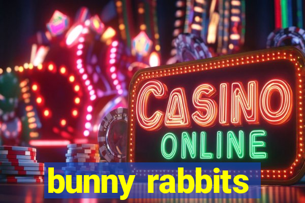 bunny rabbits