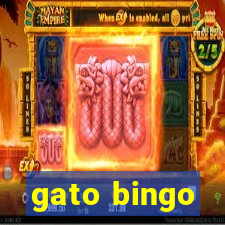 gato bingo