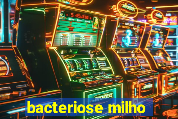 bacteriose milho