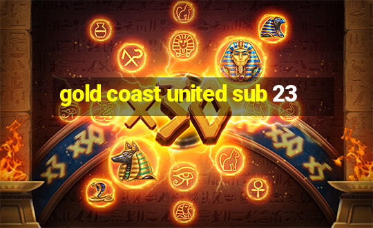 gold coast united sub 23