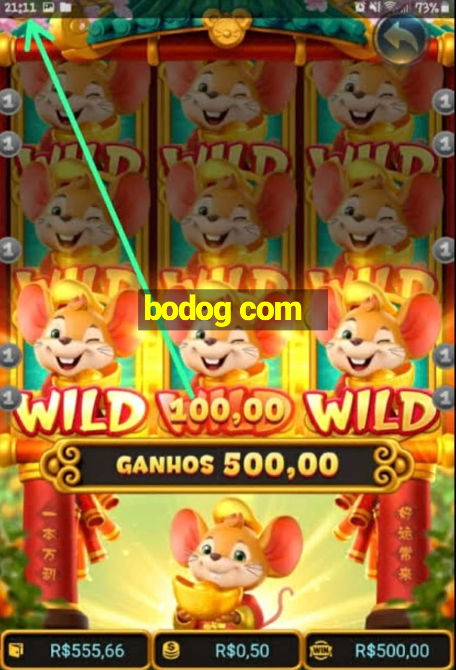 bodog com