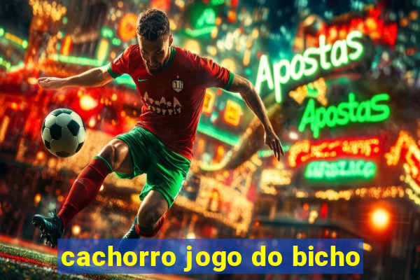 cachorro jogo do bicho