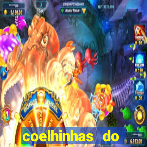 coelhinhas do brasil site