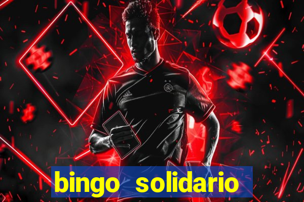 bingo solidario como organizar