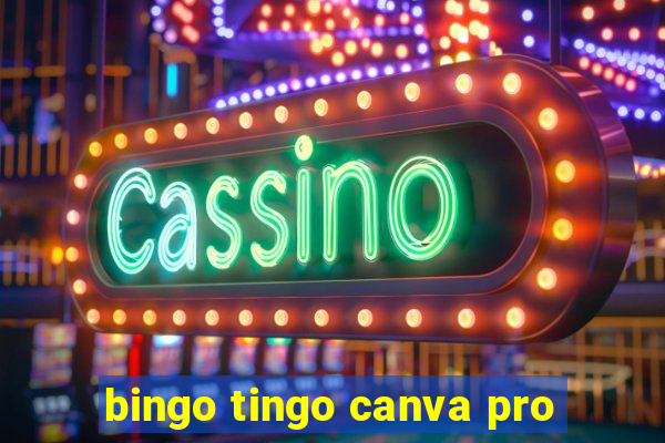 bingo tingo canva pro